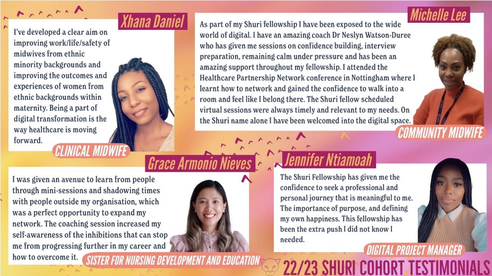 TheShuriNetwork tweet media