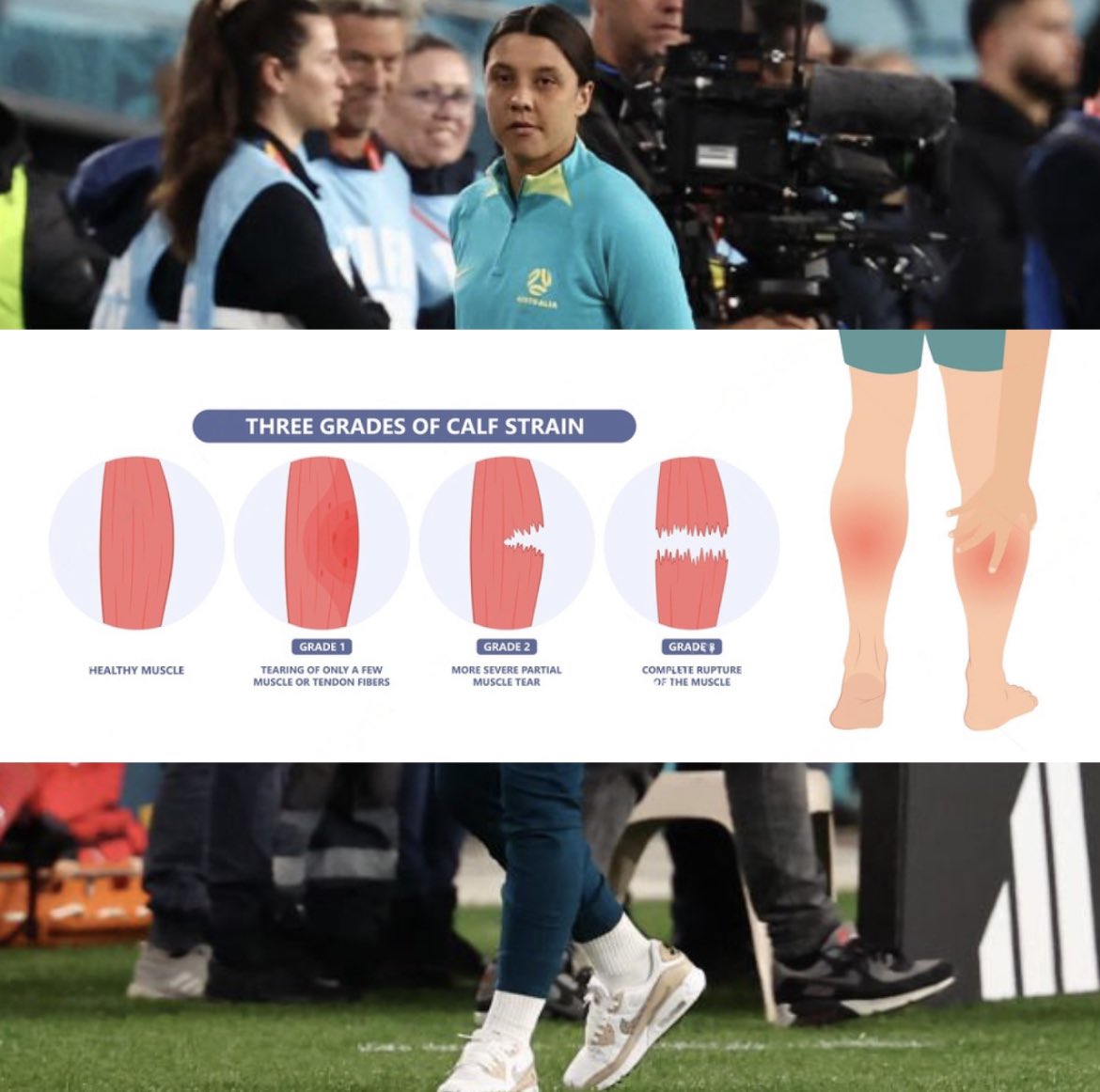 NRL PHYSIO on Twitter: