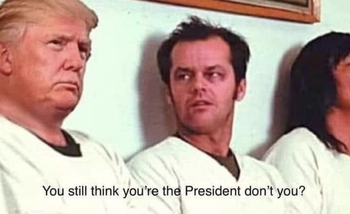 ashley phillips #ArtForEcocideLaw tweet media