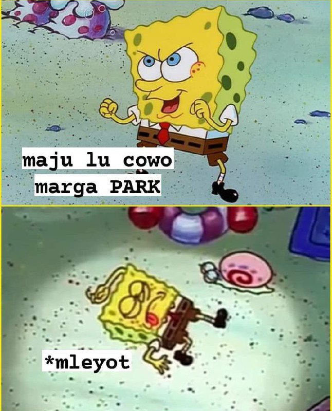 Starfess || CEK PINNED UNTUK KIRIM MENFESS tweet media