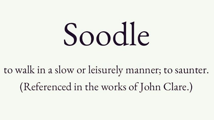 arealmofwonder's tweet image. Words for the Weekend 🌿

Pick your winner 💫

A B
C D

(Follow for the next selection)