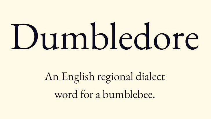 arealmofwonder's tweet image. Words for the Weekend 🌿

Pick your winner 💫

A B
C D

(Follow for the next selection)