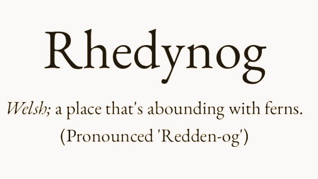 arealmofwonder's tweet image. Words for the Weekend 🌿

Pick your winner 💫

A B
C D

(Follow for the next selection)