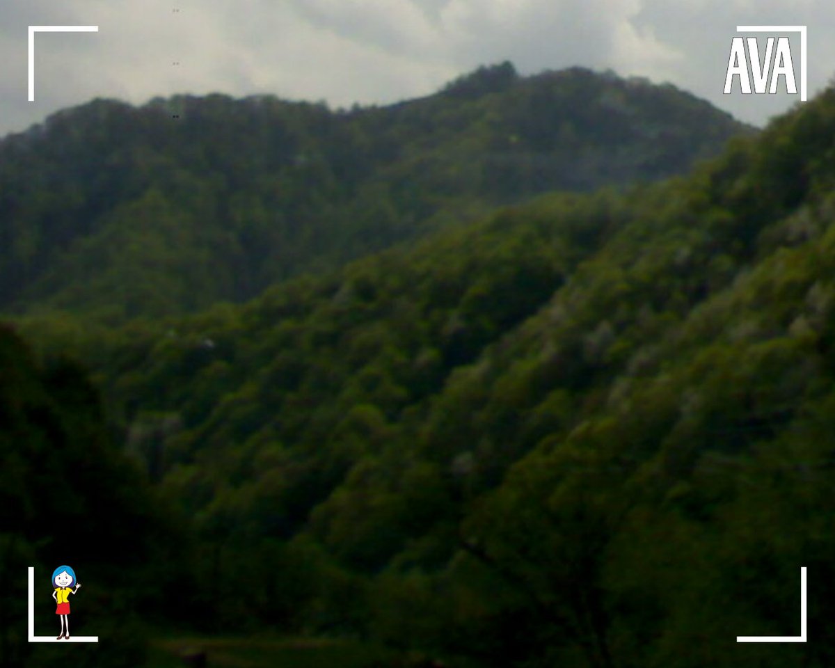 Beautiful Romania! Just some wonderful landscapes... made somewhere in the Olt Valley.
.
#OltValley #ValeaOltului #Romania #WonderfulPlaces #BeautifulLandscapes