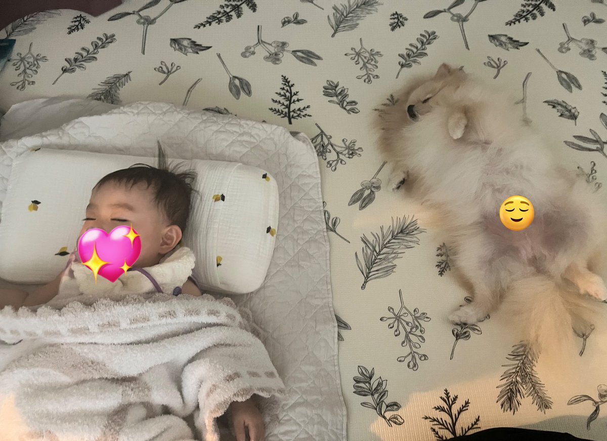 pomtuna's tweet photo. 赤ちゃんの昼寝見守ってたらつられてぐっすり😴💤🛌 https://t.co/zELc7gvVvC