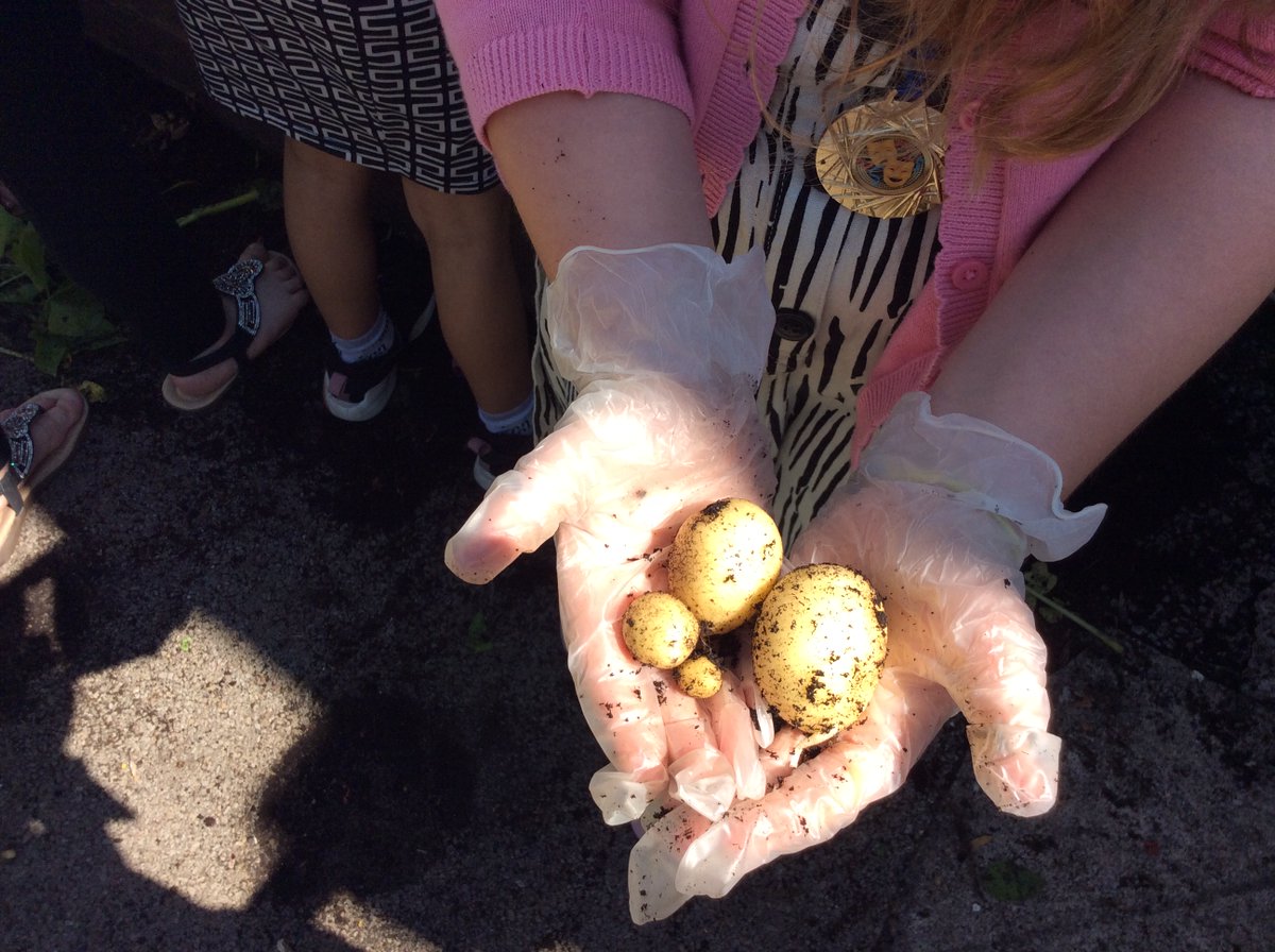 Ty Sign Primary tweet media