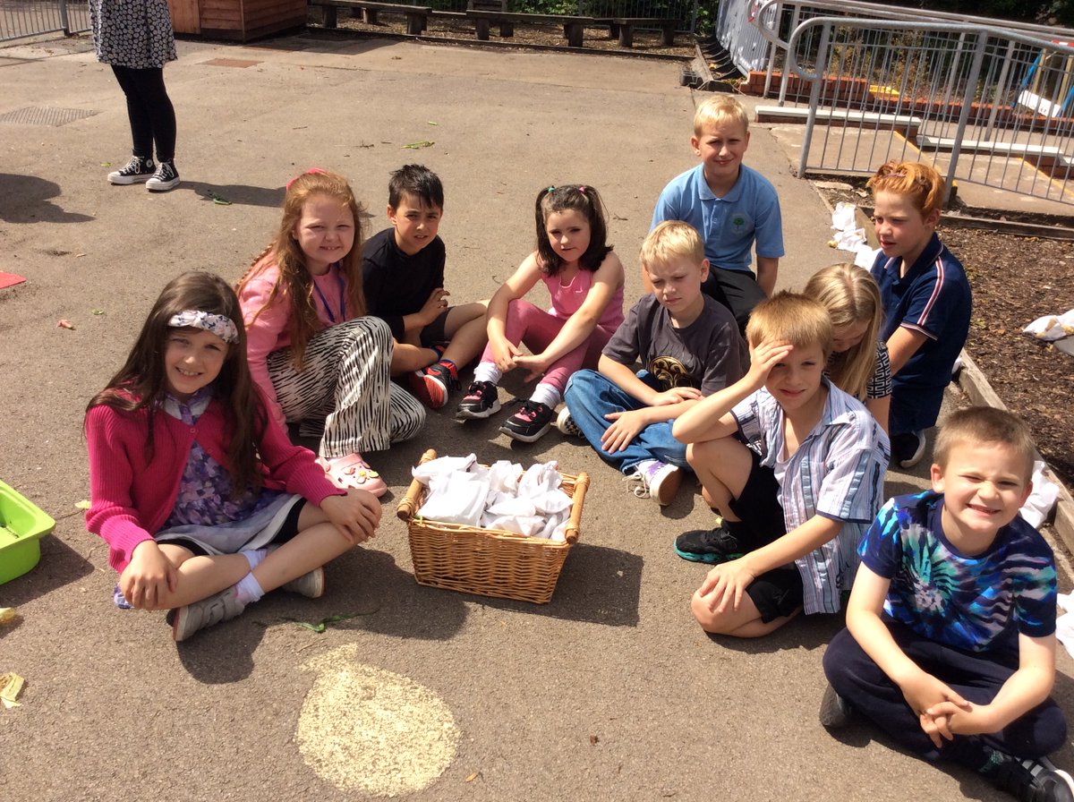 Ty Sign Primary tweet media