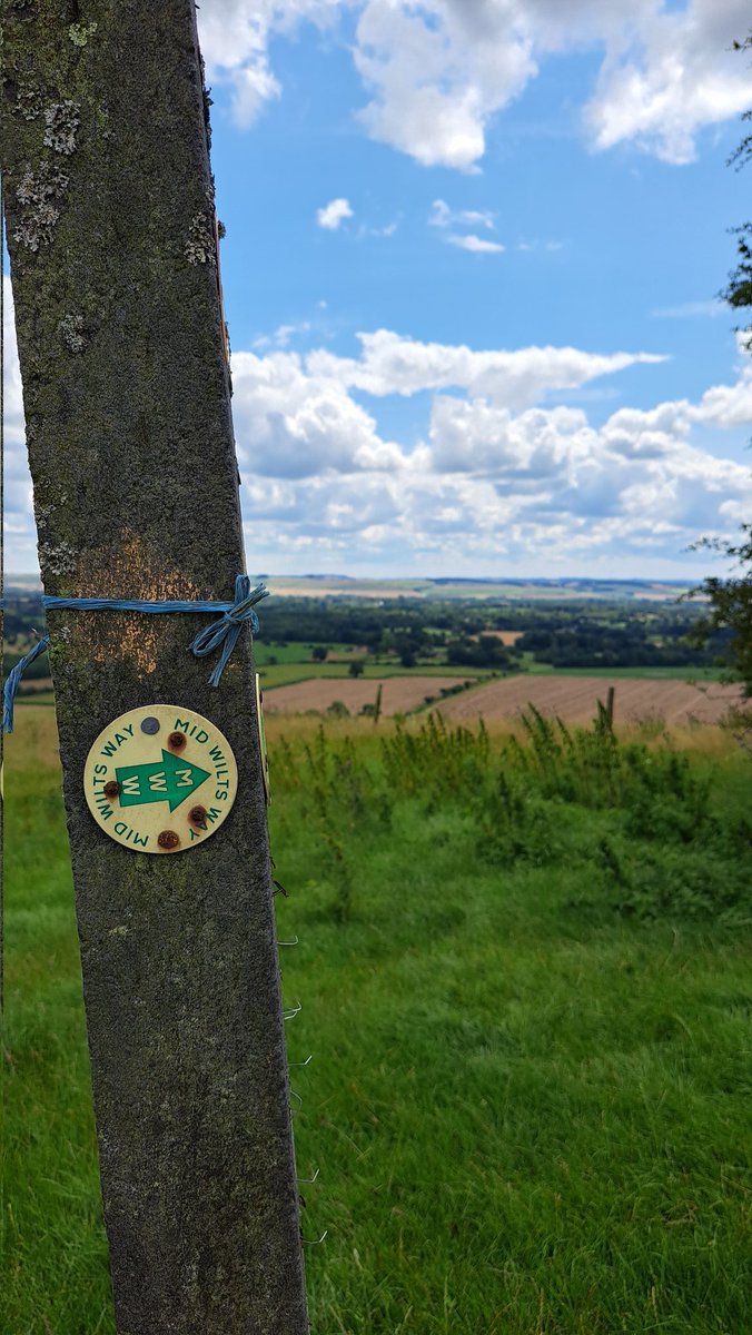 LongWeekenders's tweet image. Great first day #rambling the #midwiltsway from #Pewsey to #Devizes. Amazing views, wildflowers and butterflies. 18 miles. @BBCWiltshire @WiltshireMuseum @andyc_oxford