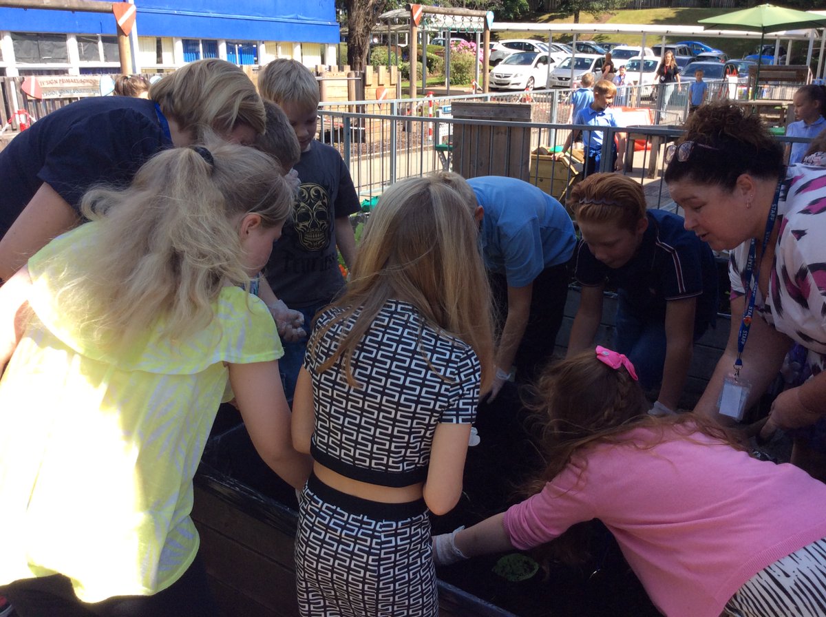 Ty Sign Primary tweet media