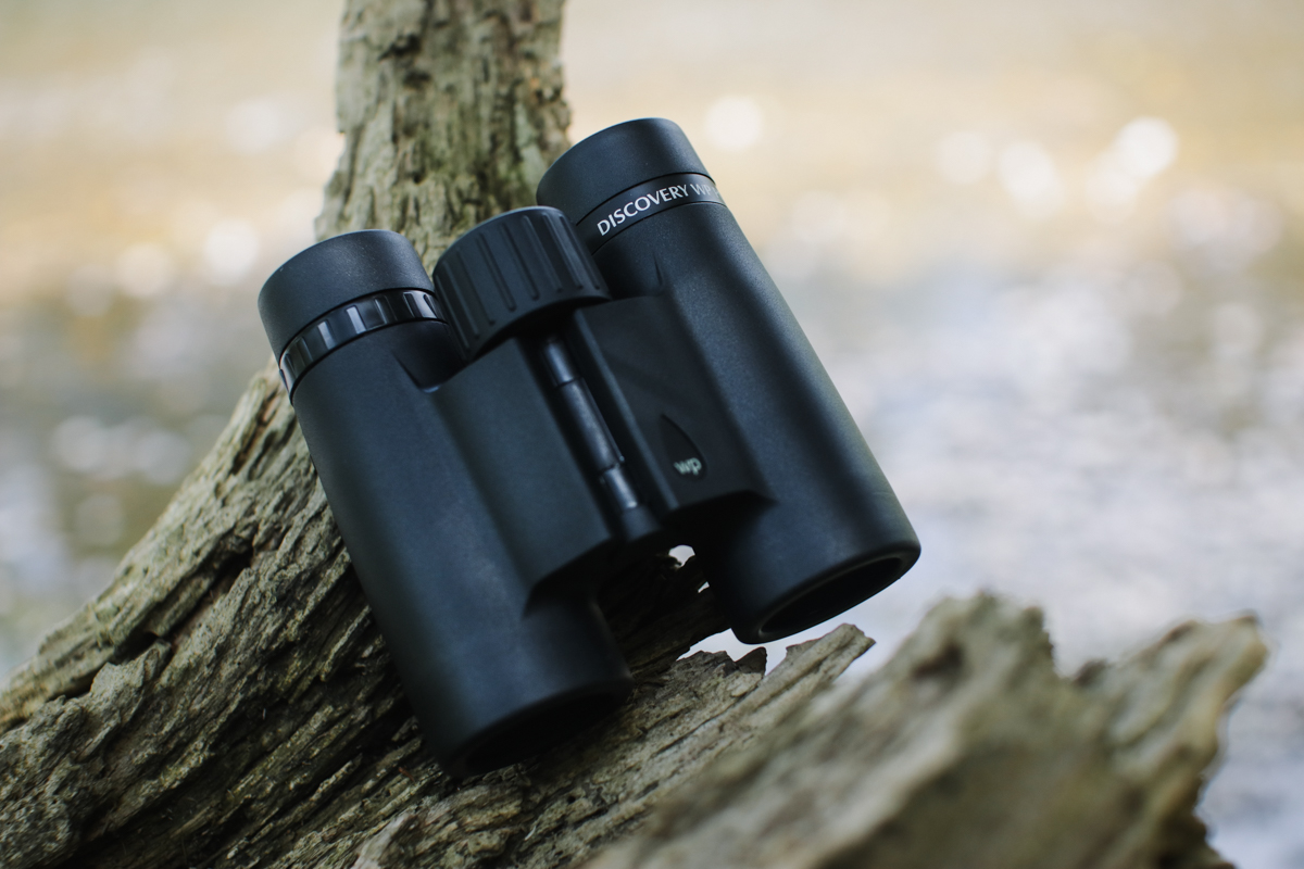 opticronuk's tweet photo. To celebrate The Big Butterfly Count we are offering our newsletter subscribers 20% off our T4 monoculars and Discovery binoculars. Both ranges are compact with a close focusing distance... perfect for spotting butterflies and moths! @savebutterflies 

https://t.co/CtqO2NuiIt https://t.co/VE1bqSDtuV