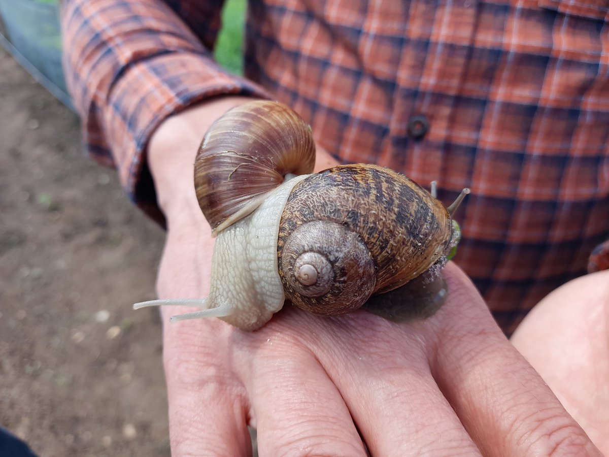 I gladly present our latest collaborator. @_FlyingHedgehog has some interesting times ahead!