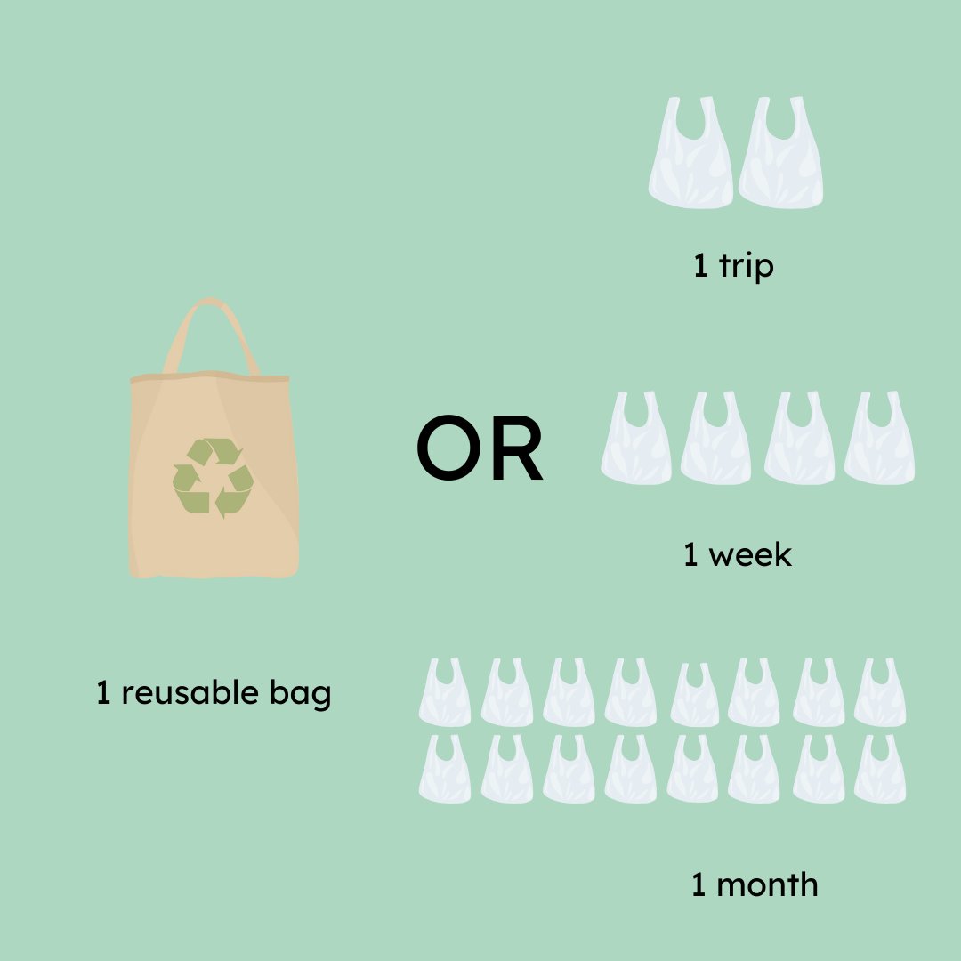 Choose Reusable Bags, Save the Planet!🌍. 

Join the movement! Get your reusable bag today and be part of the solution. Together, we can make a difference 🌱💚

#sustainableliving #plasticfreefuture  #plasticpollution #sustainability #plasticfree #PlasticFreeJuly