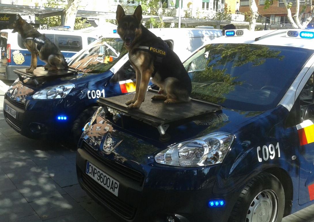 PoliciaASP's tweet image. Hoy es #día internacional del perro.
Creado en 2004 por la importancia que estos #compañeros tienen para el hombre.
Hoy hacemos un especial homenaje a la importancia que tiene el trabajo policial #GuiasCaninos
El #perro, el mejor amigo del hombre, y esencial para el policía.