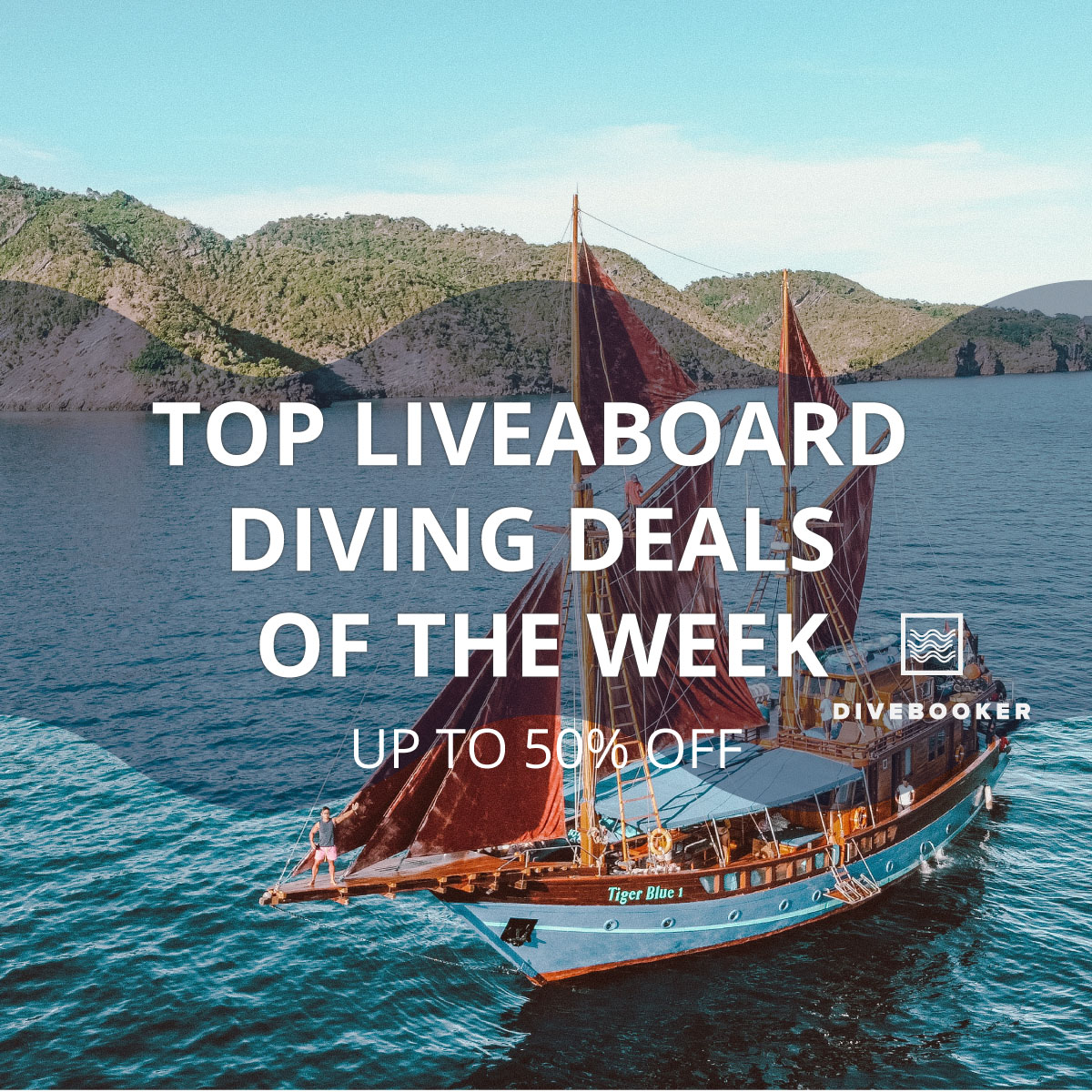 Divebooker.com tweet media