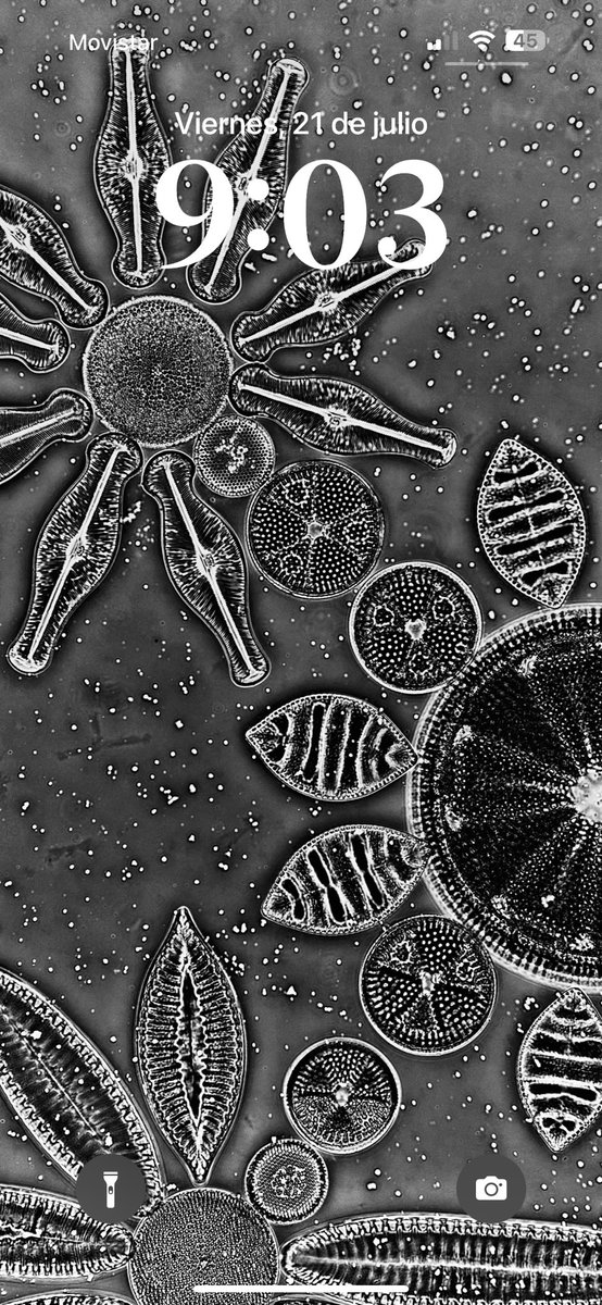 Diatom Appreciation Society tweet media