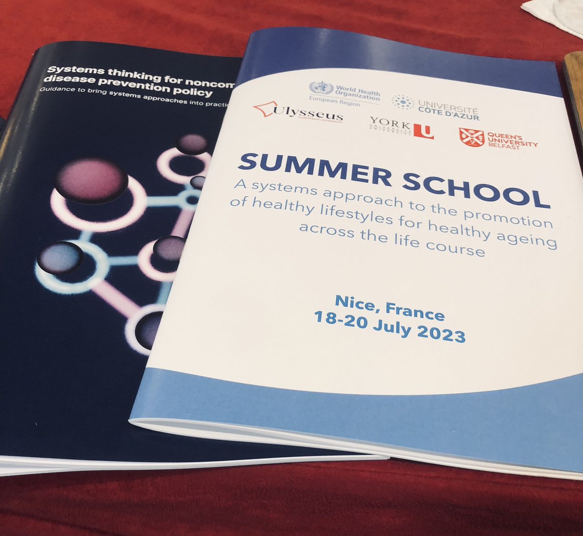 armocida_b's tweet photo. The knowledge gained will be of great value for my future work in global/public health. 🌍 #SystemsThinking #PublicHealth #GlobalHealth #NCDprevention #WHOEURO @WHO_Europe https://t.co/hbhdXLa7LR