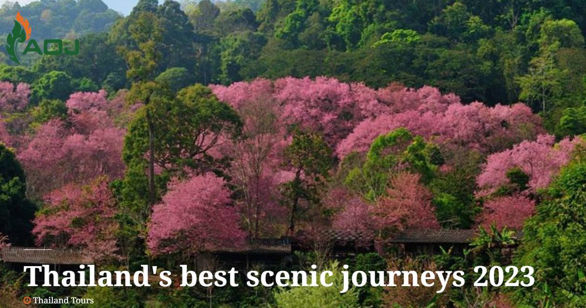 Thailand's best scenic journeys 2023 (aojourneys.com)
Detail: aojourneys.com/news/news-1/th…

#thailand #thailandtrip #thailandtravel #thailandtourism #Thailandtour #thailandtour #thailandtours #thailandtourist #thailandtour2023 #thailandtourpackage #ThailandTouristVisa