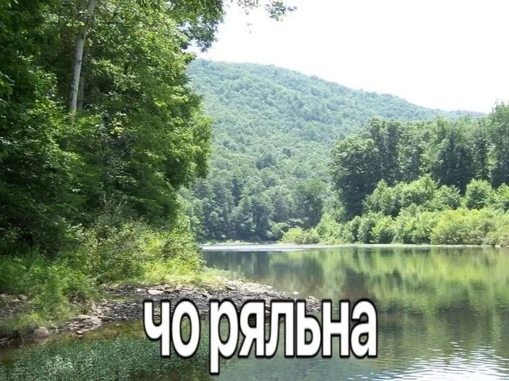 эти пикчи с природой меня скоро доведут почему жиза буквально