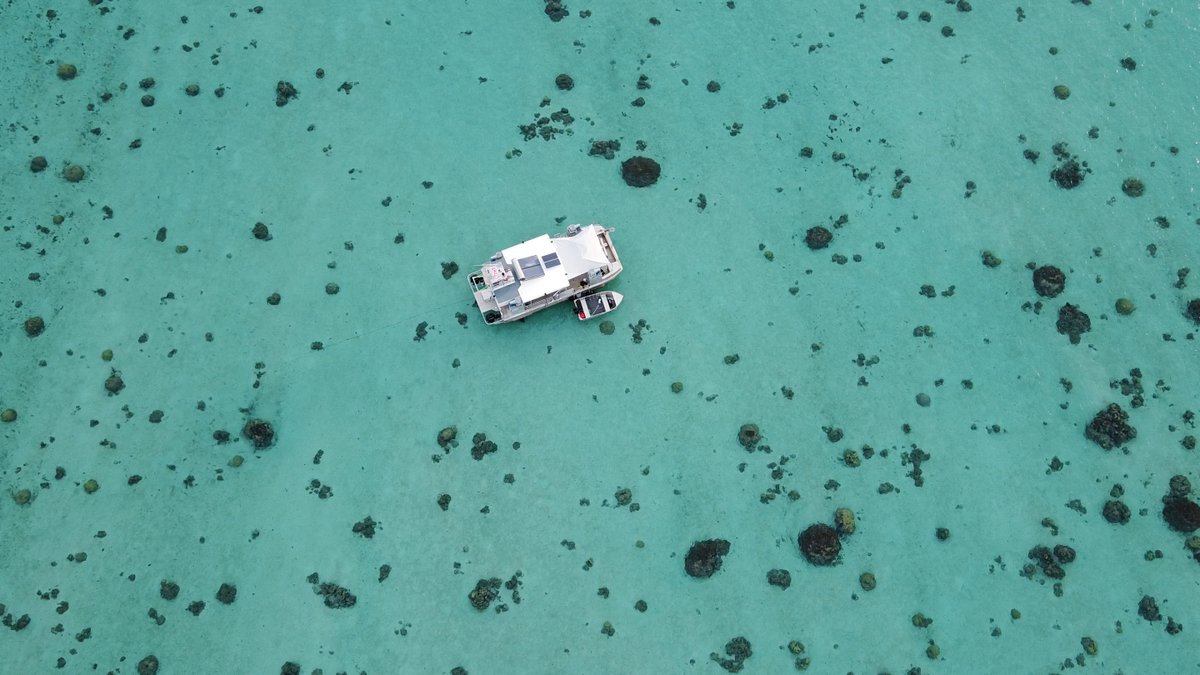 CNRSshs's tweet photo. #CNRSocean Nombreux sont les chercheurs en SHS à se mobiliser autour des espaces océaniques, en interdisciplinarité ou non. Présentation de quelques recherches emblématiques dans la Lettre de l'#InSHS
https://t.co/JC4oQz0cu9
@INSU_CNRS @INEE_CNRS https://t.co/c512l89vHm