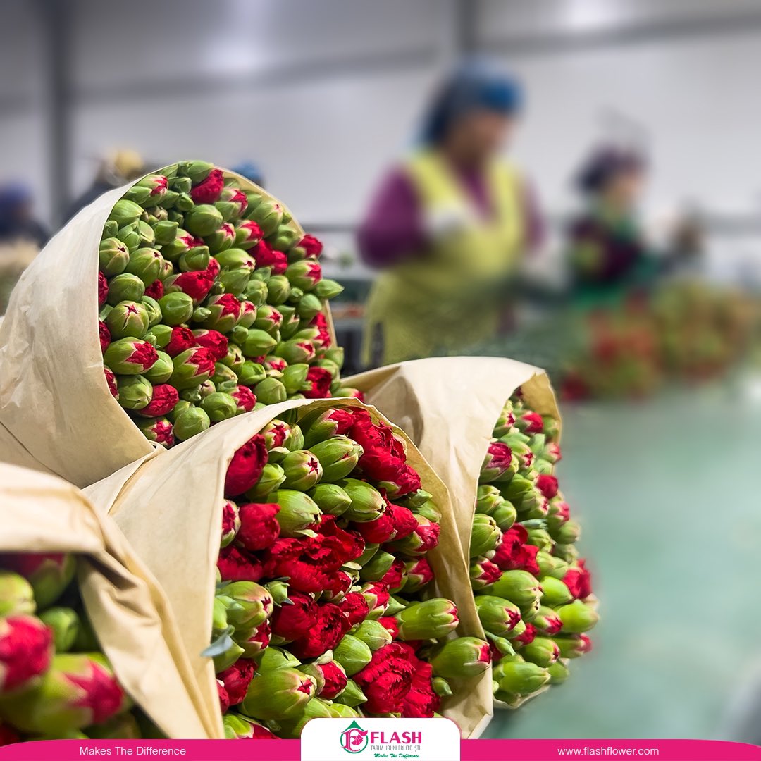 İlk günkü heyecanla üretmeye devam ediyoruz 🌺

#BiÇiçekYeter #ÇiçeğinEnGüzelHali #FarkYaratir #MakestheDifference