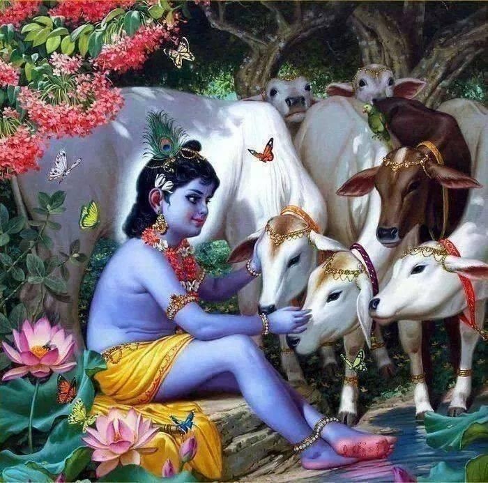 Kindness is the one investment that never fails. 🪷