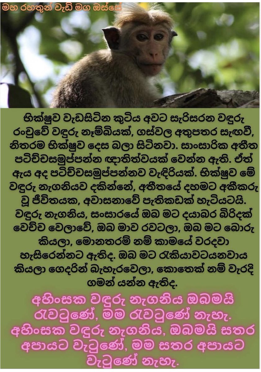Maha Rahathun Wadi Maga Osse - සිරි සද්ධර්මය දකිමු (@maharahathun) on Twitter photo 