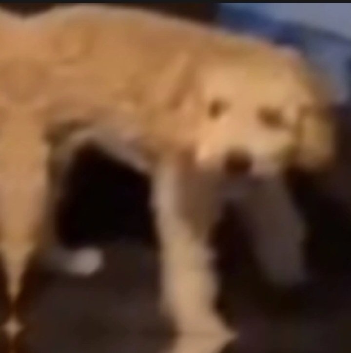 Jane Heathley tweet media