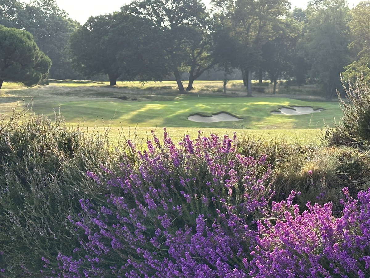 simonkirwan3's tweet photo. We are pro-am ready 🌞 ⛳️ @StonehamGC https://t.co/y7GqkBaYYH