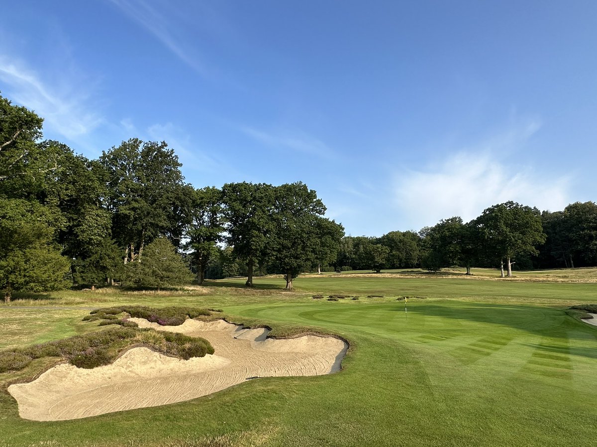 simonkirwan3's tweet photo. We are pro-am ready 🌞 ⛳️ @StonehamGC https://t.co/y7GqkBaYYH