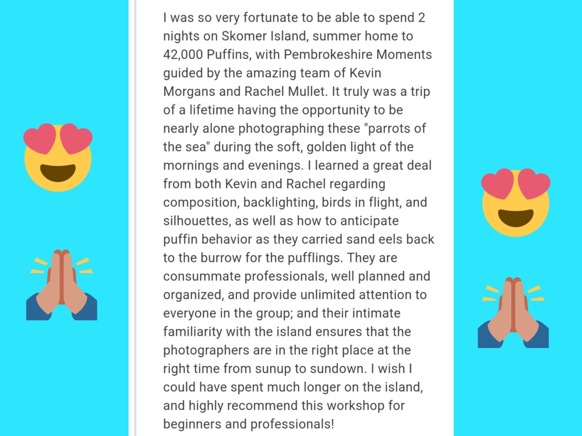 Another lovely review for our Skomer Photography Workshops. #puffins 
#photographyworkshop #skomer