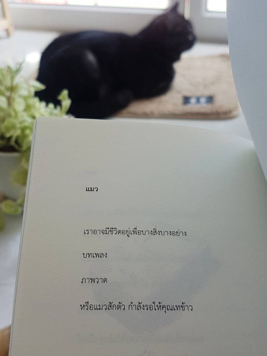 ร้านกลิ่นหนังสือ tweet media