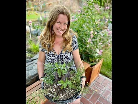 AllForGardening's tweet image. 8 Minute Organic Edible Garden   ...
 
allforgardening.com/550335/8-minut…
 
#gardeninghacks #smallspacehacks #Containergardening #EdibleGardening