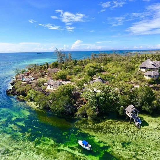 RotaryBamburi's tweet photo. *As a wrap up for What to Enjoy while in #MagicalWatamu 🏖️🌅🌴*

✓ Explore Watamu Marine, The Colourful Kipepeo (Butterfly) Farm 🦋 and East Africa Reptile Park.  

1️⃣ Day to #MagicalWatamu 🏖️🌅🌴

#TheCountdown 
#MEGAJointInstallation 
#CoastRotary  
#WeAreOne 
#ServiceIsFUN! https://t.co/1AWov7gqM1