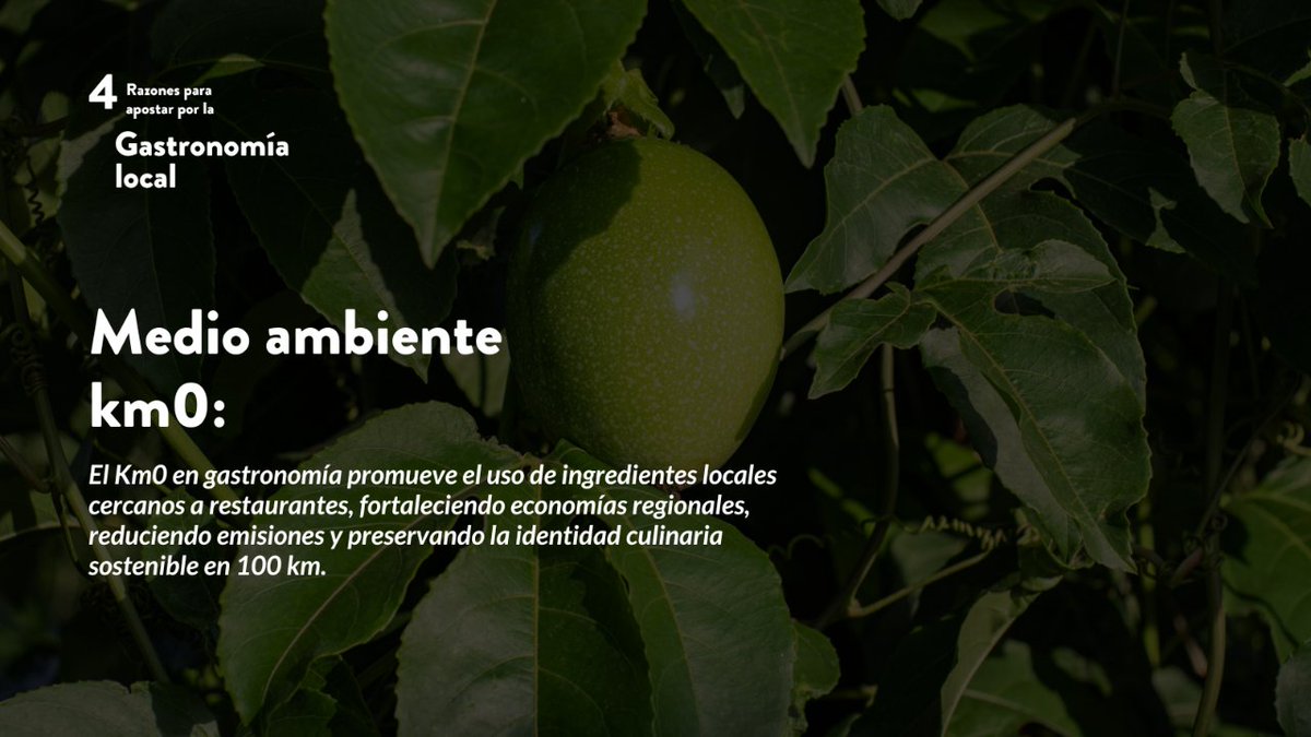 Barcelona Culinary Hub tweet media