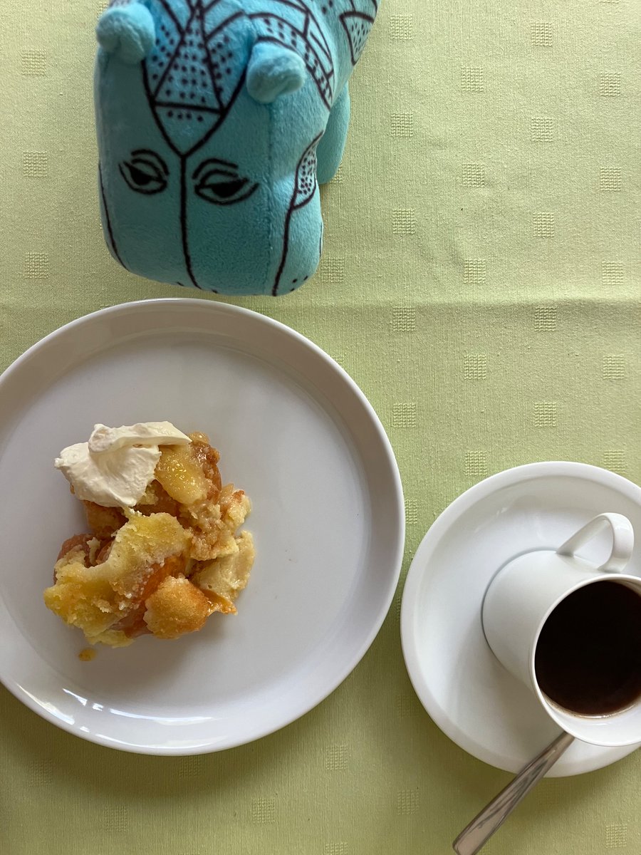 National day in Chocoladistan 🇧🇪:
William meets Chocolate Moose
(and apricot clafoutis)
#NotANationalist