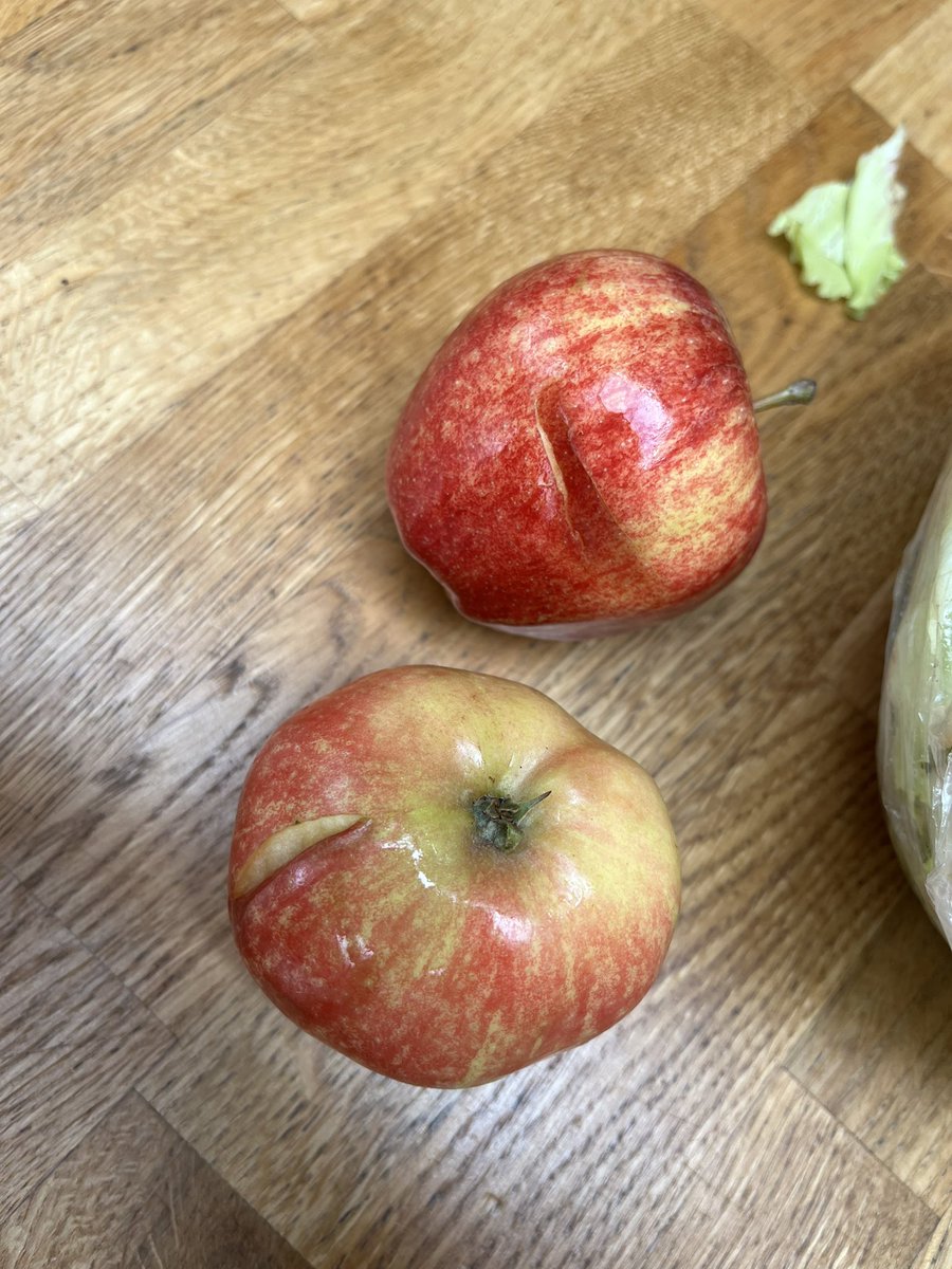 LouMidl's tweet photo. @sainsburys applaud you removing the use by dates off your fruit and veg but does seem to have reduced the quality of fruit and veg in online orders. These were all in my latest order and doesn’t include the brown cauliflower I sent back. https://t.co/sfumvOk73M