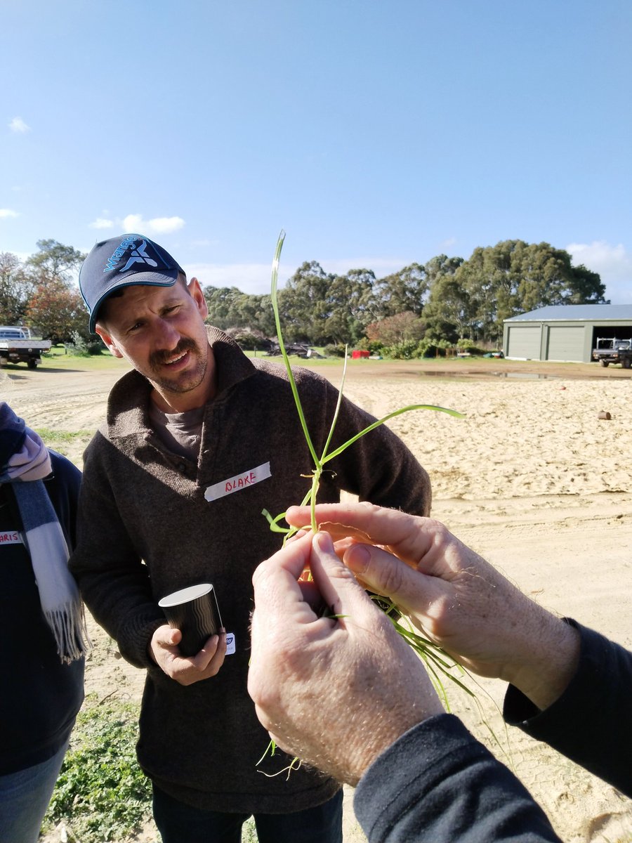 Mick Davis tweet media