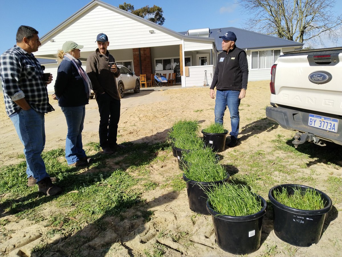 Mick Davis tweet media