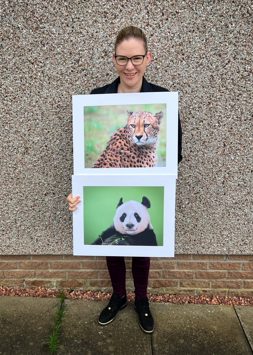 throughcatslens's tweet photo. Exciting times 🤩!!! Prints dropped off for Dundee Photographic Society exhibition at Dundee Wellgate Library.

Pop in and see them 24th July to 19th Aug! 

🐯 Spotted Something Beautiful
🐼 Bear Necessities

#Friyay 
#FridayFeeling 
#Dundee 
#Photography https://t.co/rTINpn1YWD