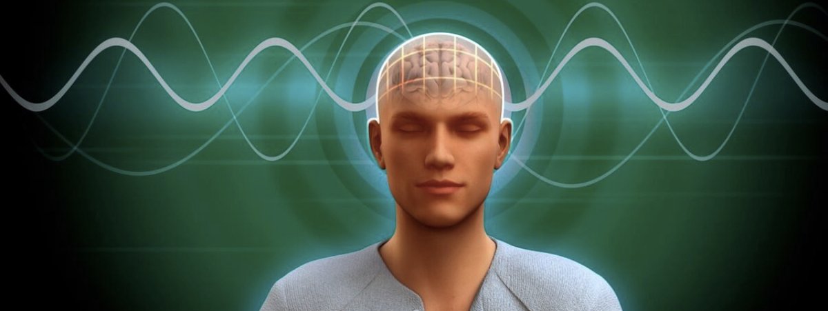 TrainingforLife's tweet image. Aug 2023 Upcoming Courses - mailchi.mp/3380854628ef/a…