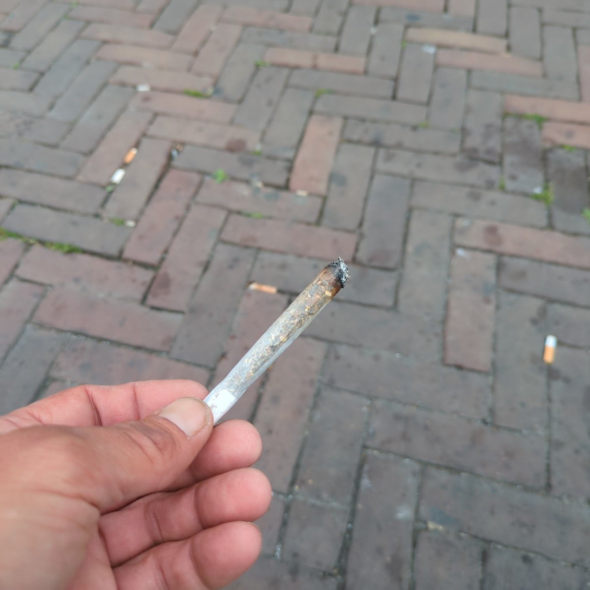 IAsashoryu's tweet photo. @Ribera420 Greeting#bakinamsterdam https://t.co/ZHLofj0K8t