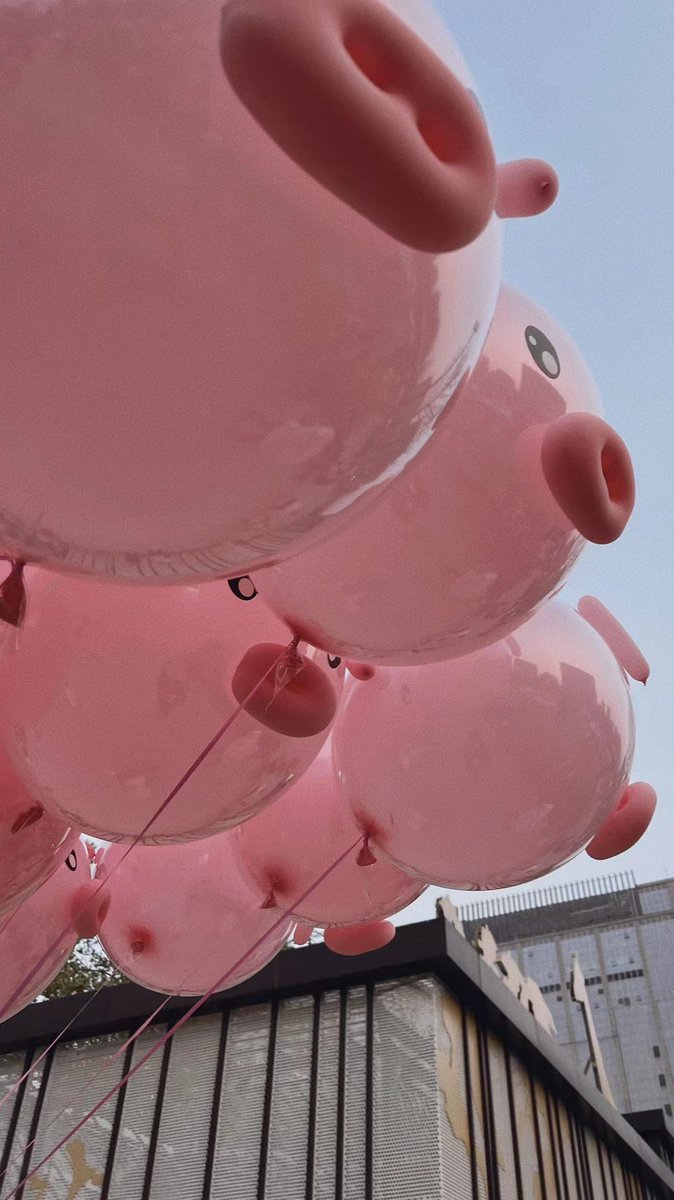 杀了我吧30块钱一个。我宣布拍到手机里的就是我的！