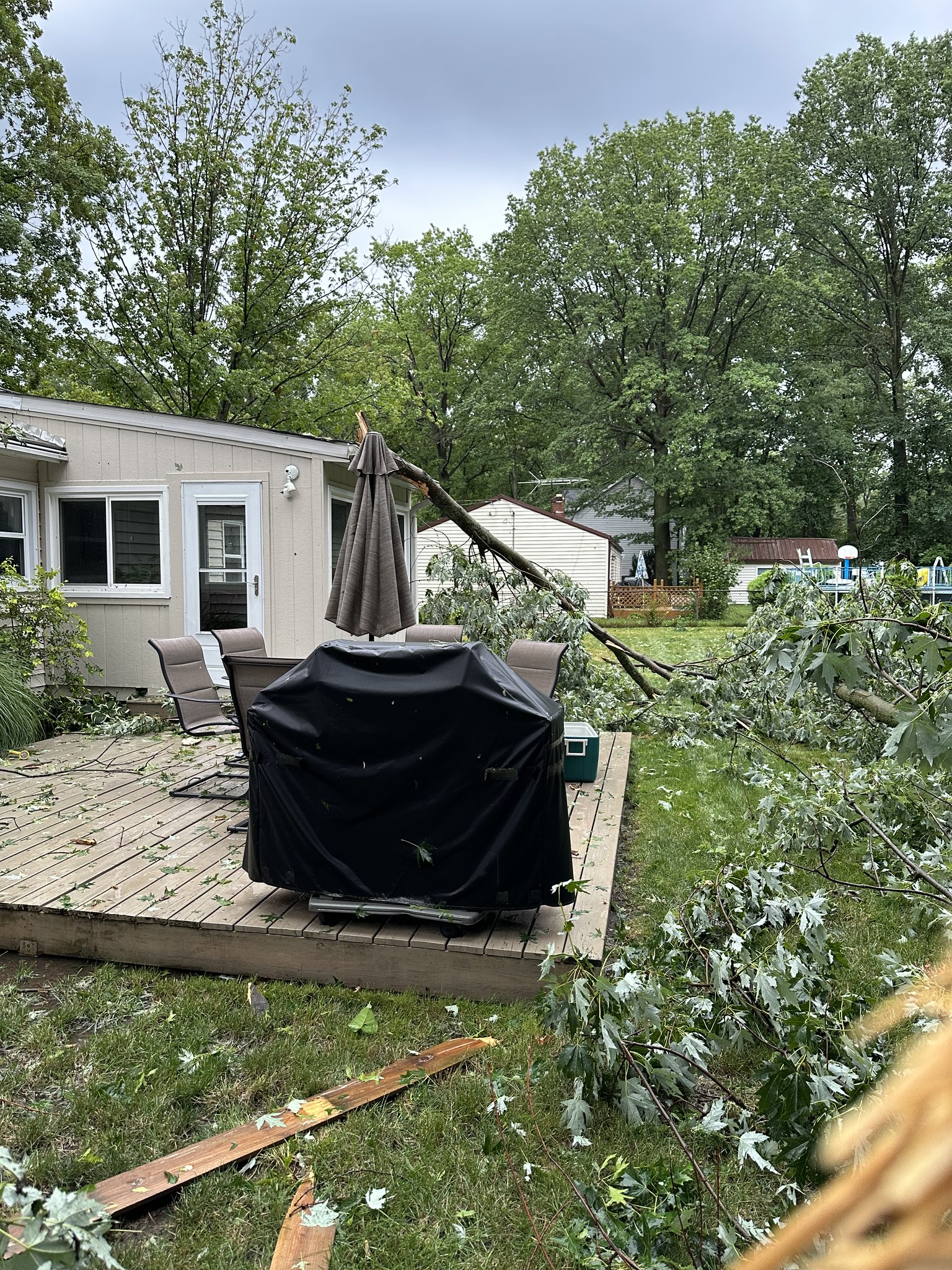 Wews Channel 5 News Cleveland Ohio - ox7p2ph