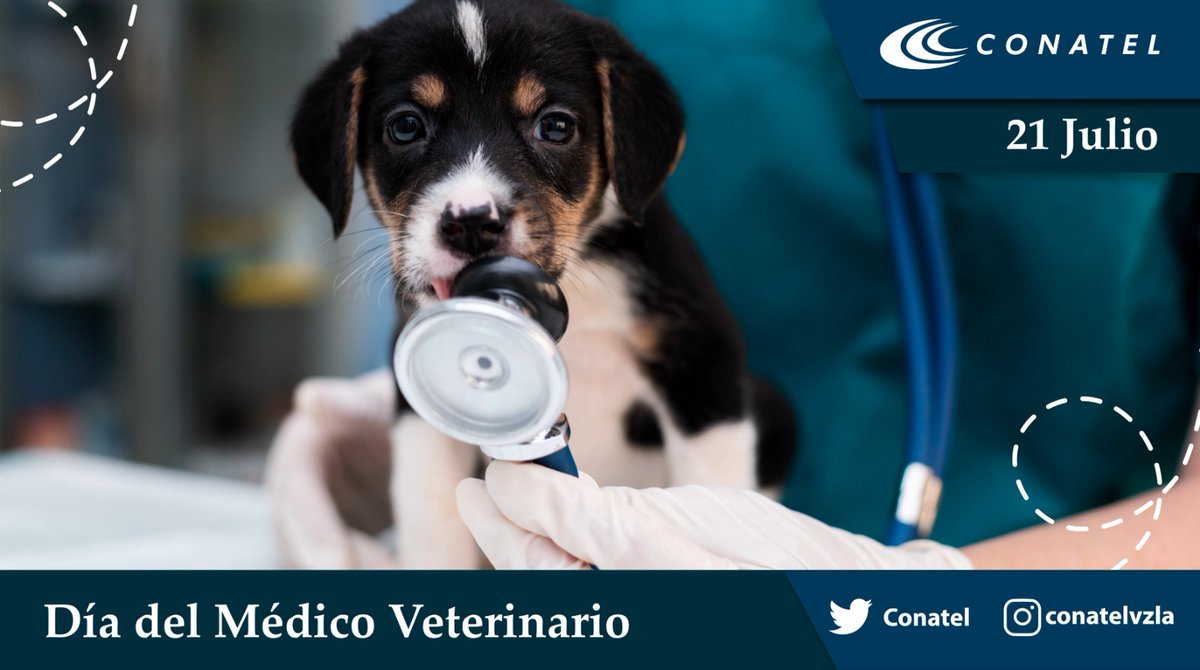 #21Jul celebramos el Día del Médico Veterinario en Venezuela, con la idea de reconocer su labor velando por la salud, protección y seguridad alimentaria de los animales. ¡Felicitamos a todos los veterinarios por brindar cariño y dedicación!

#PoesíaLenguajeUniversal