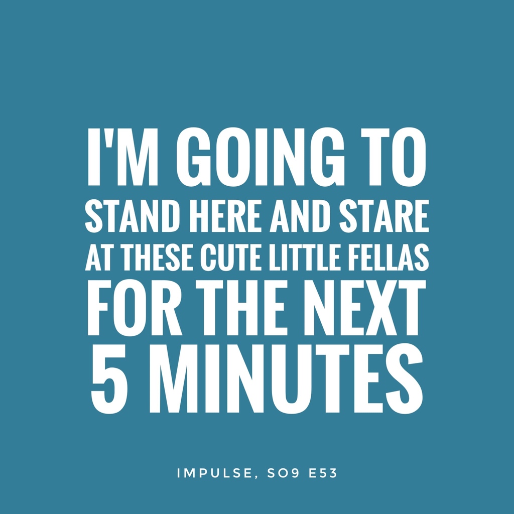 hermitcraftquotes tweet media