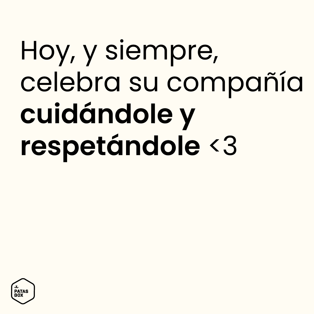 Patasbox tweet media