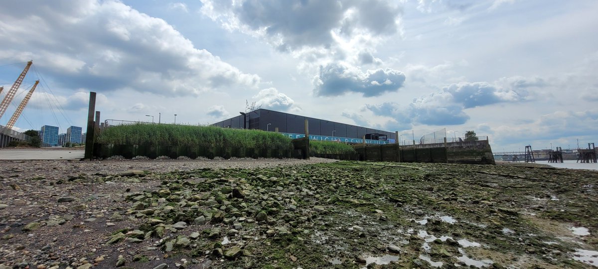 Thames Estuary Partnership tweet media