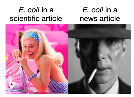 BarbE. coli versus Eschenheimer