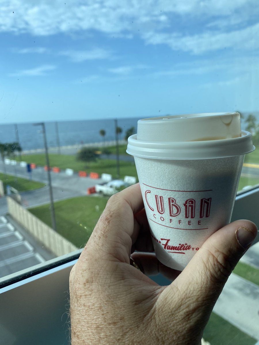 Ollie Lash-Williams tweet media