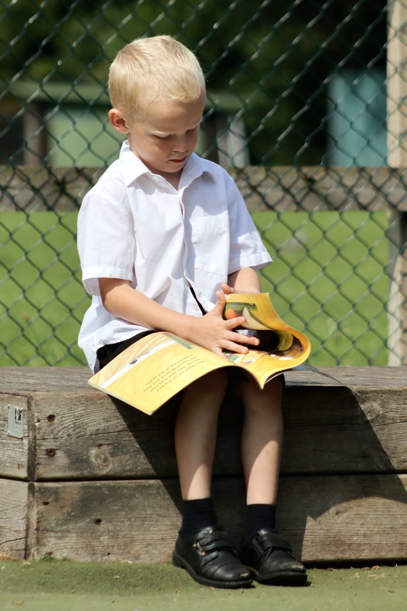 St Peter's First School tweet media